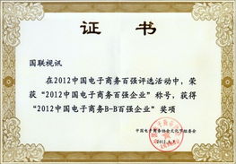 北京國聯視訊信息技術股份榮獲“2012中國電子商務百強企業”稱號，引領企業信息技術咨詢服務新浪潮
